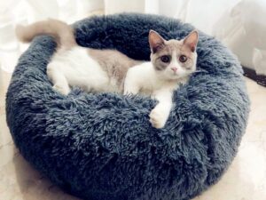 round cat bed house