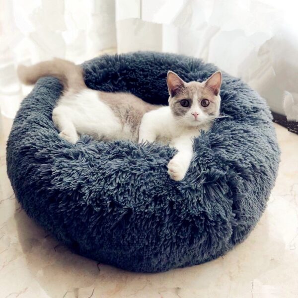 round cat bed house